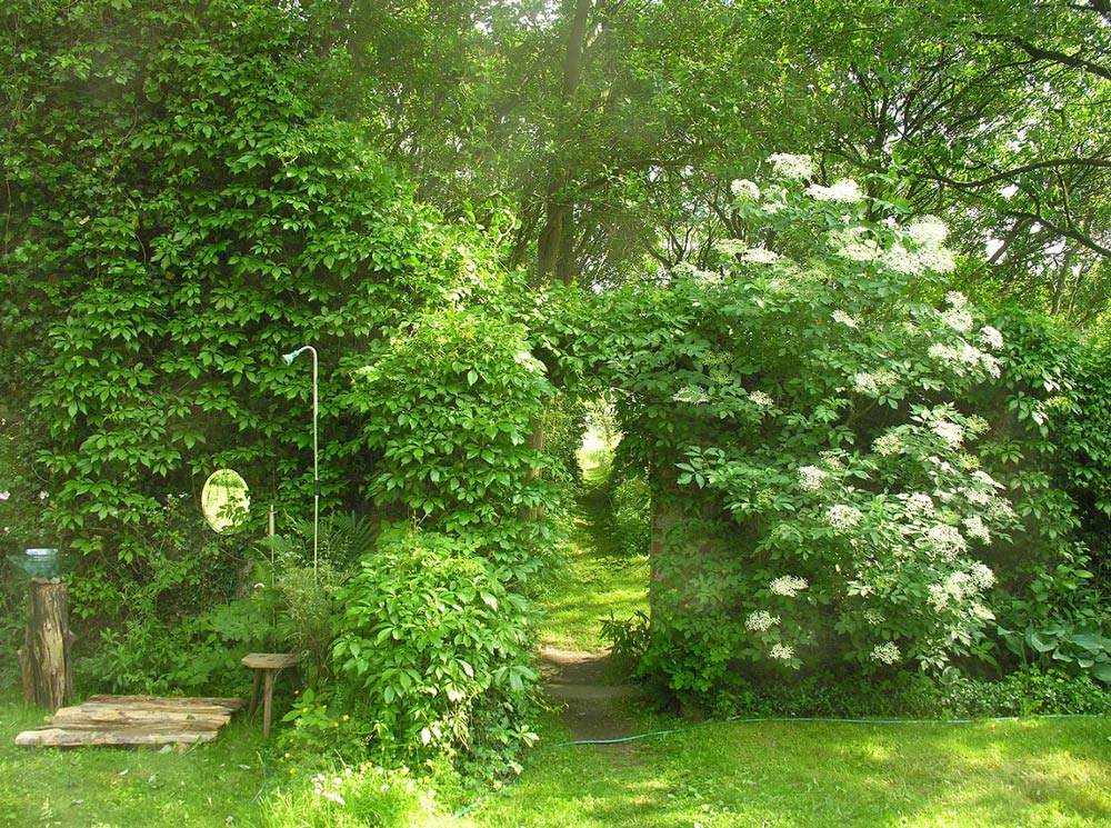 images/gartenbilder/alt_meteln-dichtergarten/dichterGarten_26_c.jpg