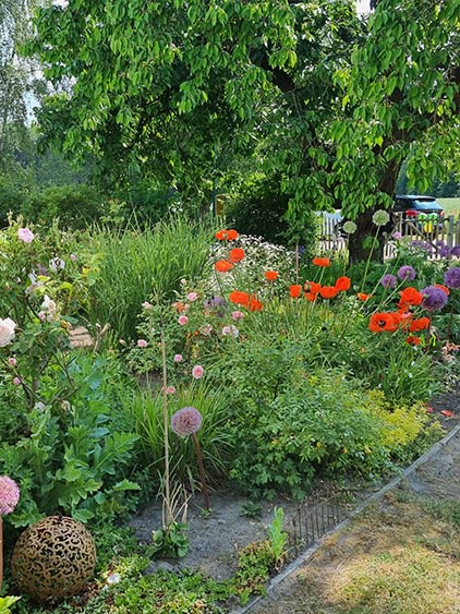 images/gartenbilder/dragun-bauerngarten-leistikow/bauerngarten_26_e.jpg