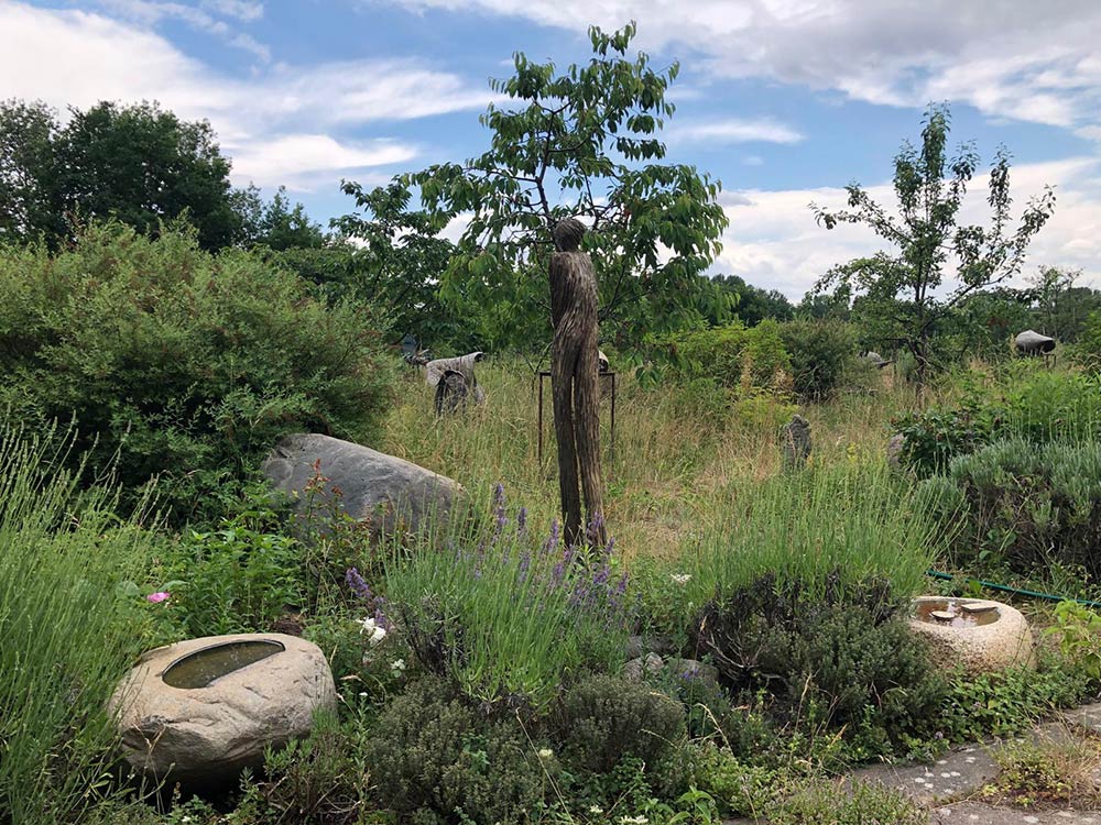 images/gartenbilder/hoppenwalde-garten-skulpturengarten/skulpturengarten_b.jpg