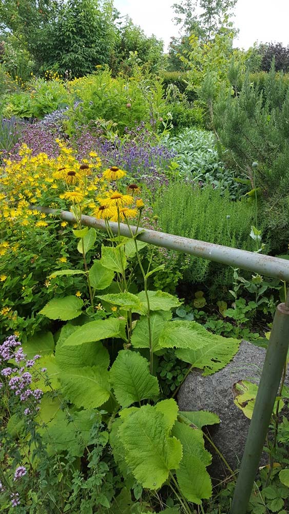 Klütz Garten Schmidt Offene Gärten in MV