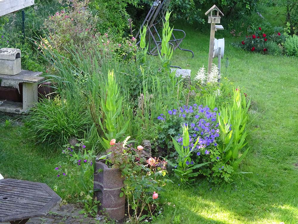 images/gartenbilder/koenigsfeld-garten-maass/garten-maass_e.jpg