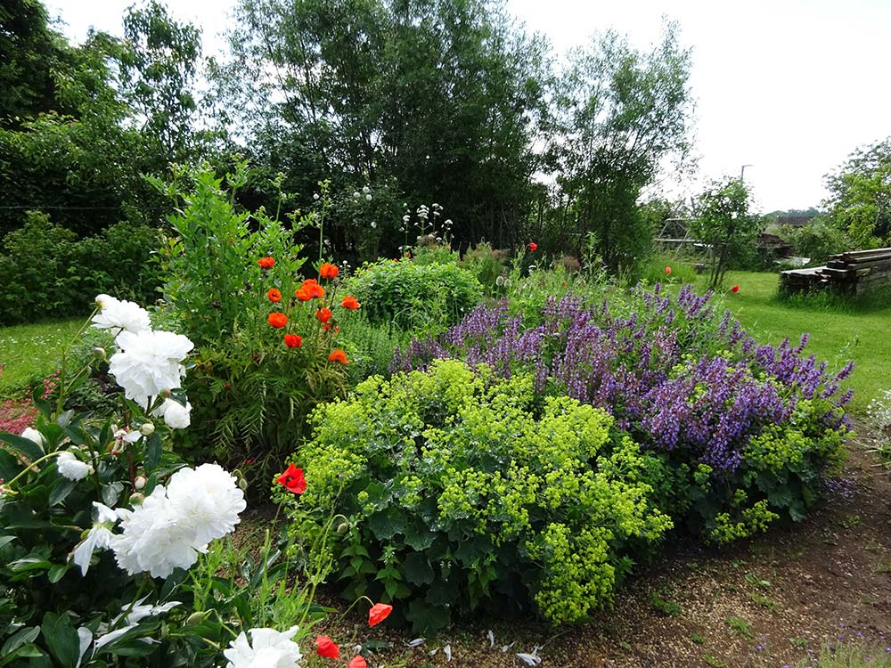 images/gartenbilder/koenigsfeld-garten-maass/garten-maass_g.jpg