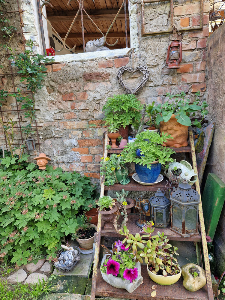 images/gartenbilder/kritzmow-buednerei-konieczny /kritzmow-buednerei-konieczny_23_4.jpg