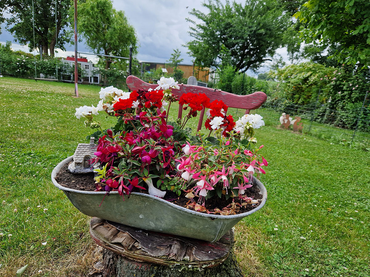 images/gartenbilder/kritzmow-buednerei-konieczny /kritzmow-buednerei-konieczny_23_5.jpg