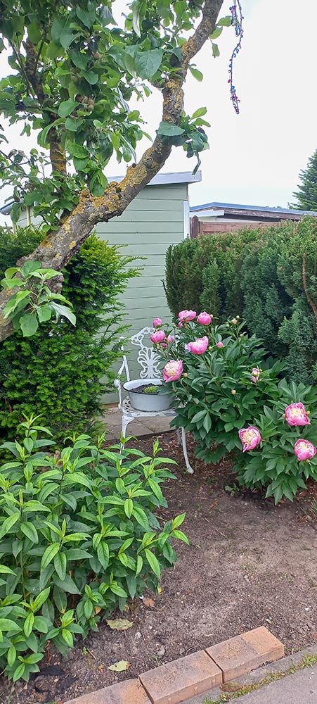 images/gartenbilder/stepenitztal-garten-martens/martens_a.jpg