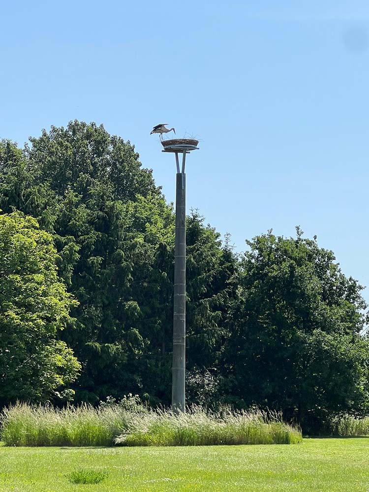 images/gartenbilder/upahl_borgsen/upahl_borgsen_a.jpg