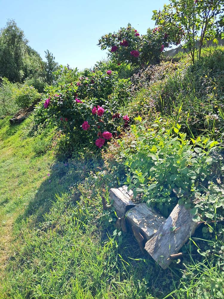 images/gartenbilder/upahl_borgsen/upahl_borgsen_e.jpg