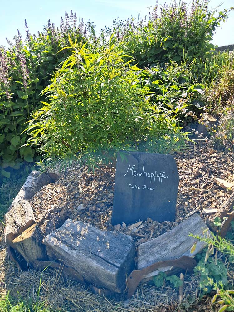 images/gartenbilder/upahl_borgsen/upahl_borgsen_f.jpg