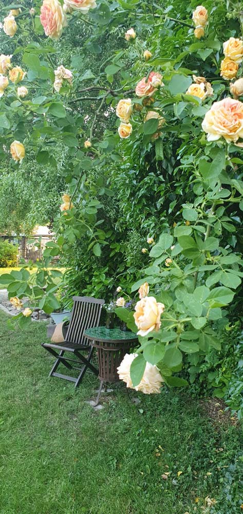 images/gartenbilder/upahl_borgsen/upahl_borgsen_h.jpg