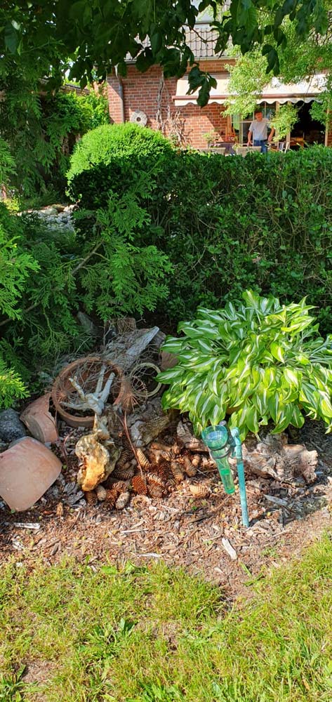 images/gartenbilder/upahl_borgsen/upahl_borgsen_i.jpg