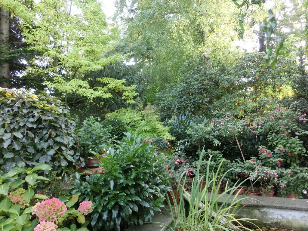 Wismar Garten an der alten Gärtnerei Offene Gärten in MV
