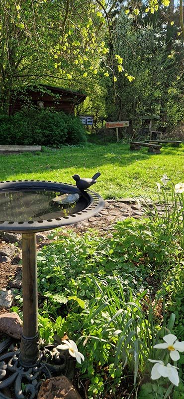 images/gartenbilder/schwerin_naturschutzstation/naturschutzstation-sn-2.jpg