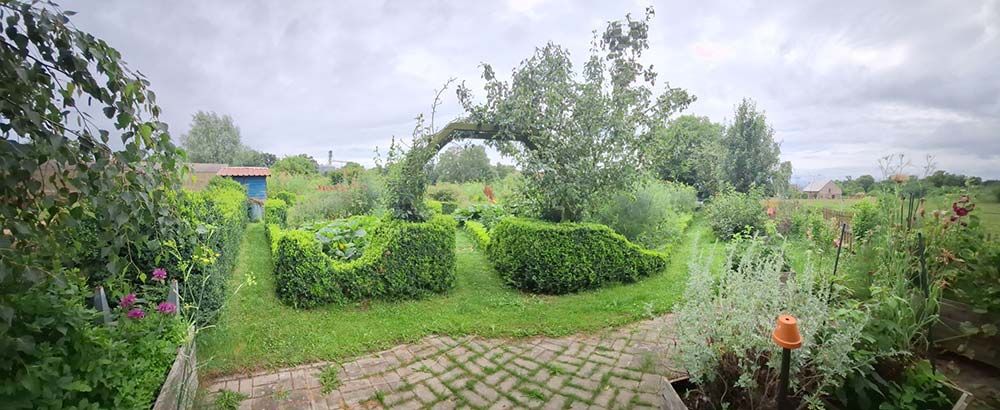 images/gartenbilder/luplower_bauerngarten/luplower_bauerngarten_8.jpg