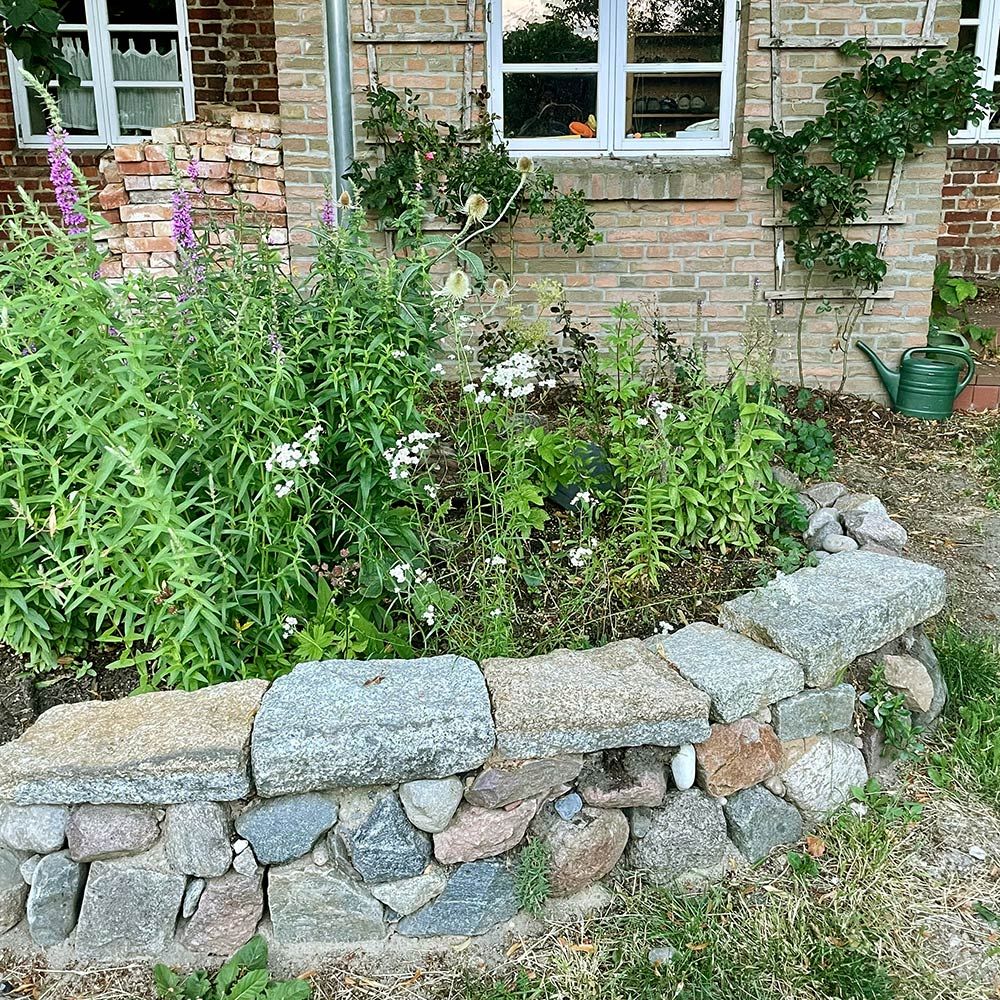 images/gartenbilder/rerik-garten-lagies/rerik-garten-lagies-2.jpg
