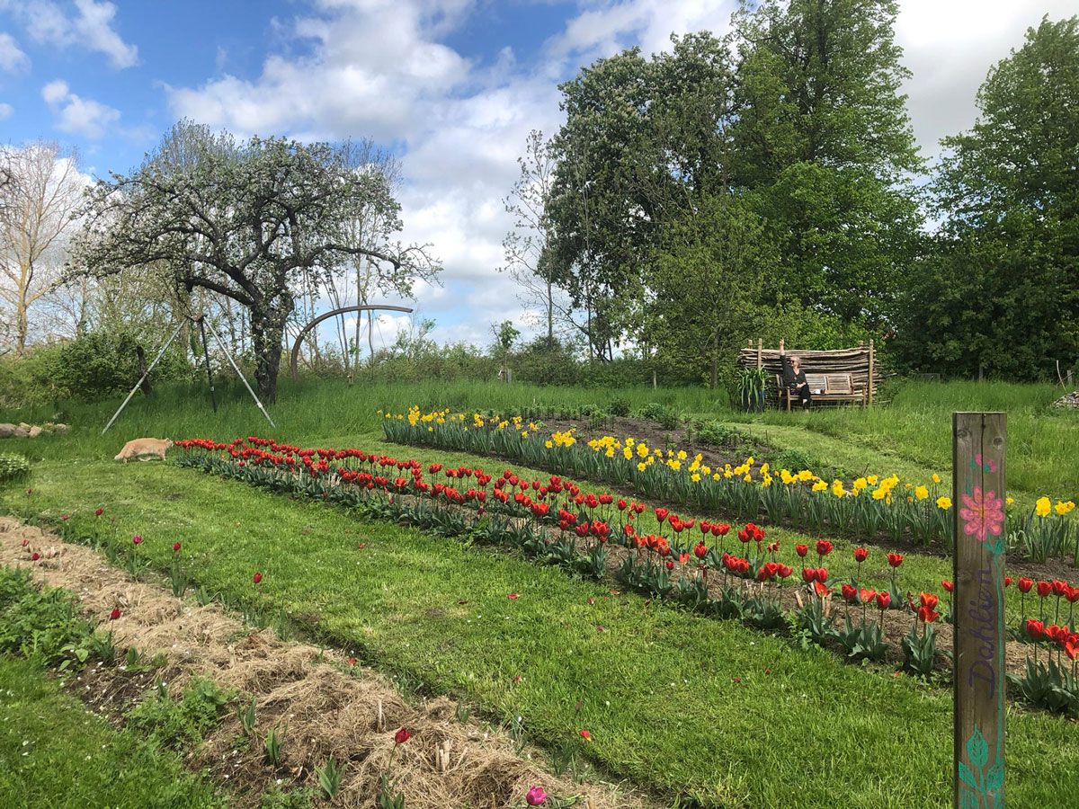 images/gartenbilder/luedersdorf_aras_naturgarten_schirpke/luedersdorf_aras_naturgarten_schirpke_23_3.jpg