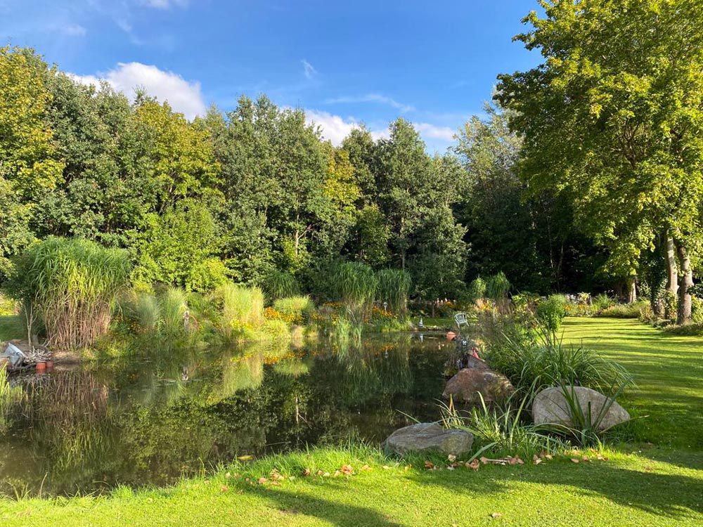 images/gartenbilder/malchin-waldgarten_an_der_peene/malchin-waldgarten_an_der_peene_1.jpg