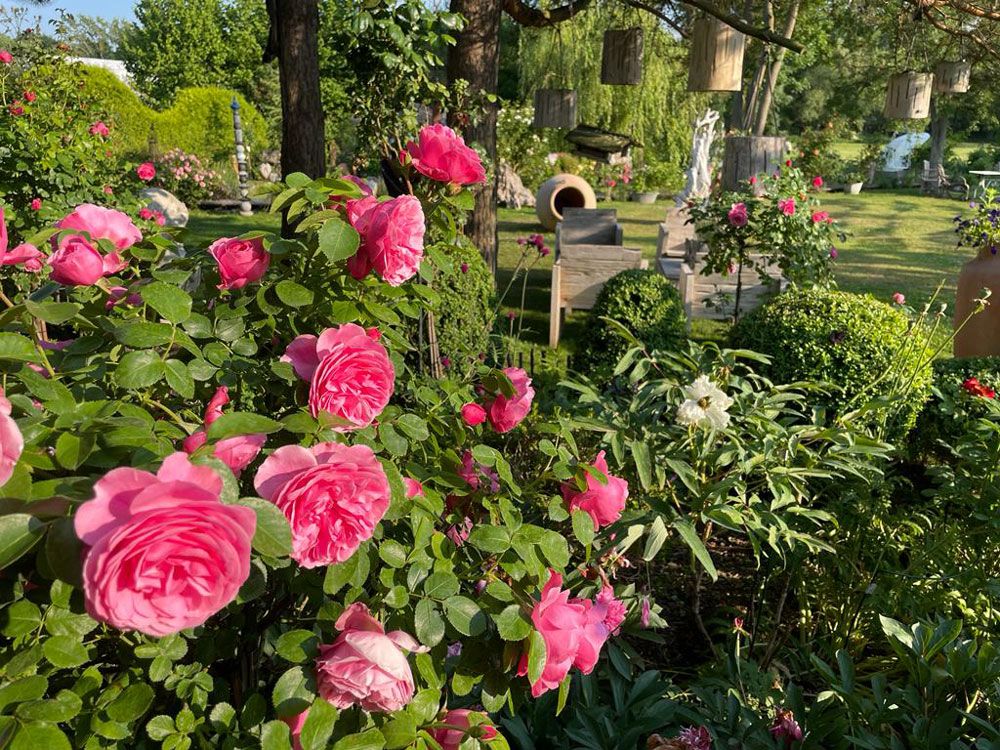 images/gartenbilder/bartenshagen_teakgalerie_krueger/garten_krueger_03.jpg