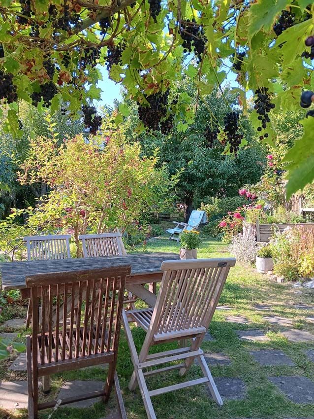 images/gartenbilder/schwerin_garten_scharf/schwerin_garten_scharf_f.jpg