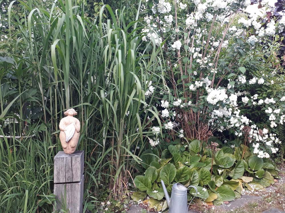 images/gartenbilder/schwerin_garten_scharf/schwerin_garten_scharf_h.jpg