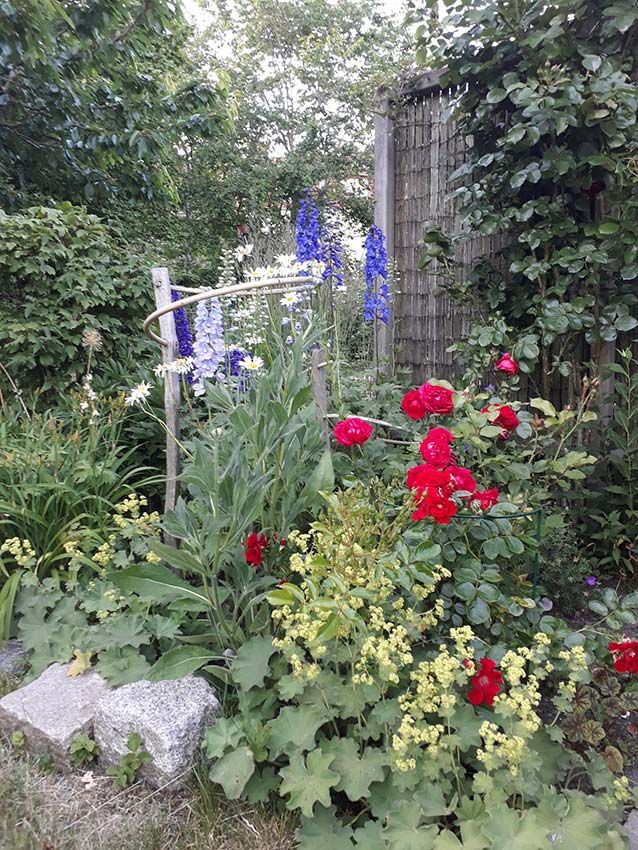 images/gartenbilder/schwerin_garten_scharf/schwerin_garten_scharf_d.jpg