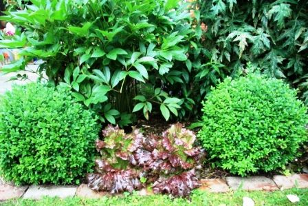 images/gartenbilder/cramonshagen-teiner/teiner_3.jpg