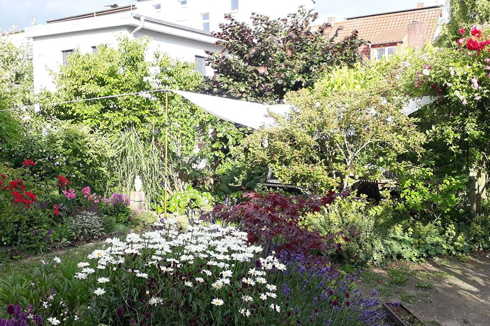 images/gartenbilder/schwerin_garten_scharf/schwerin_garten_scharf_b.jpg