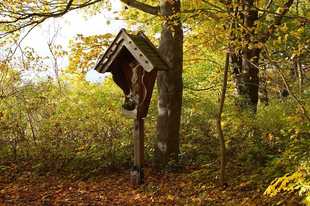 images/gartenbilder/saunstorf_klostergarten/kloster_saunstorf_6.jpg