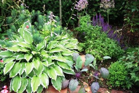 images/gartenbilder/cramonshagen-teiner/teiner_2.jpg