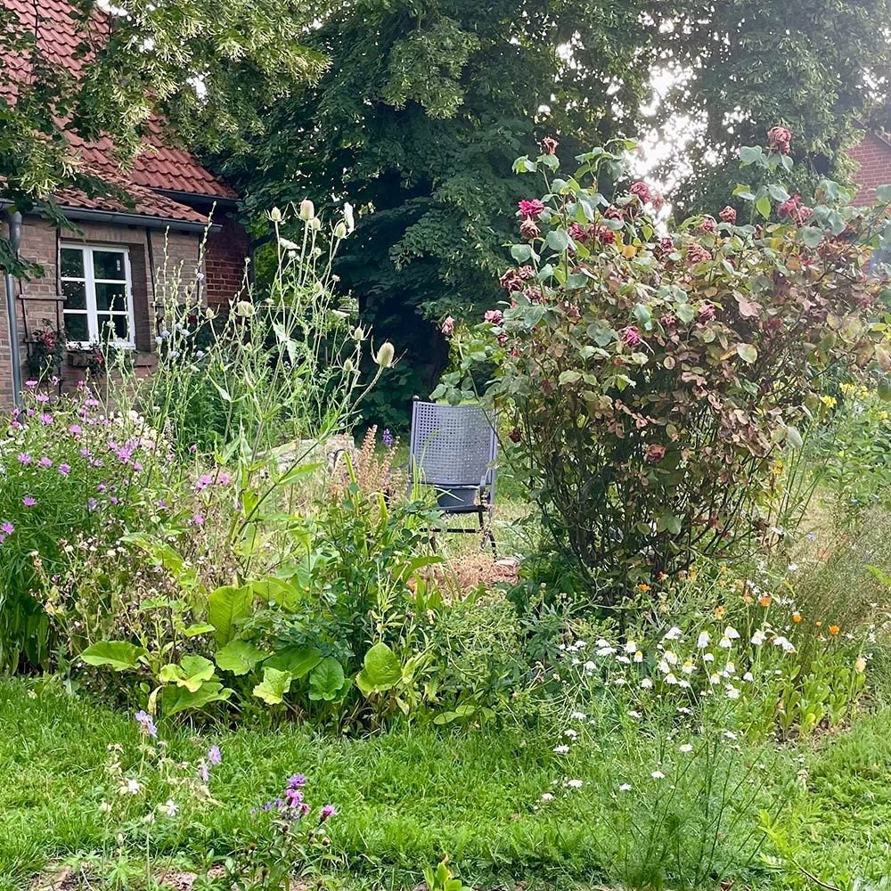 images/gartenbilder/rerik-garten-lagies/rerik-garten-lagies-3.jpg