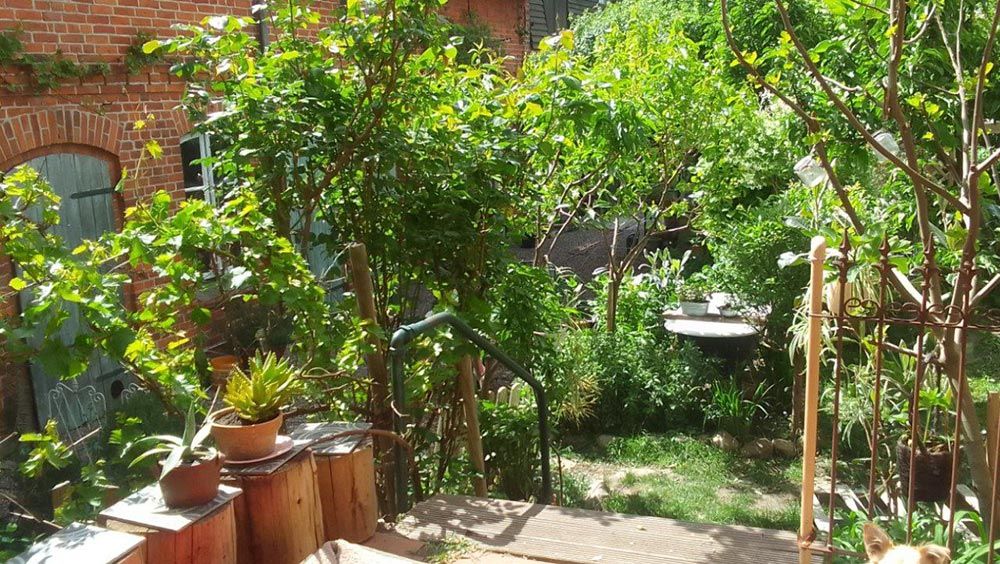 images/gartenbilder/luebz-gardin-chapeau-vert-weber/garten_weber_4.jpg