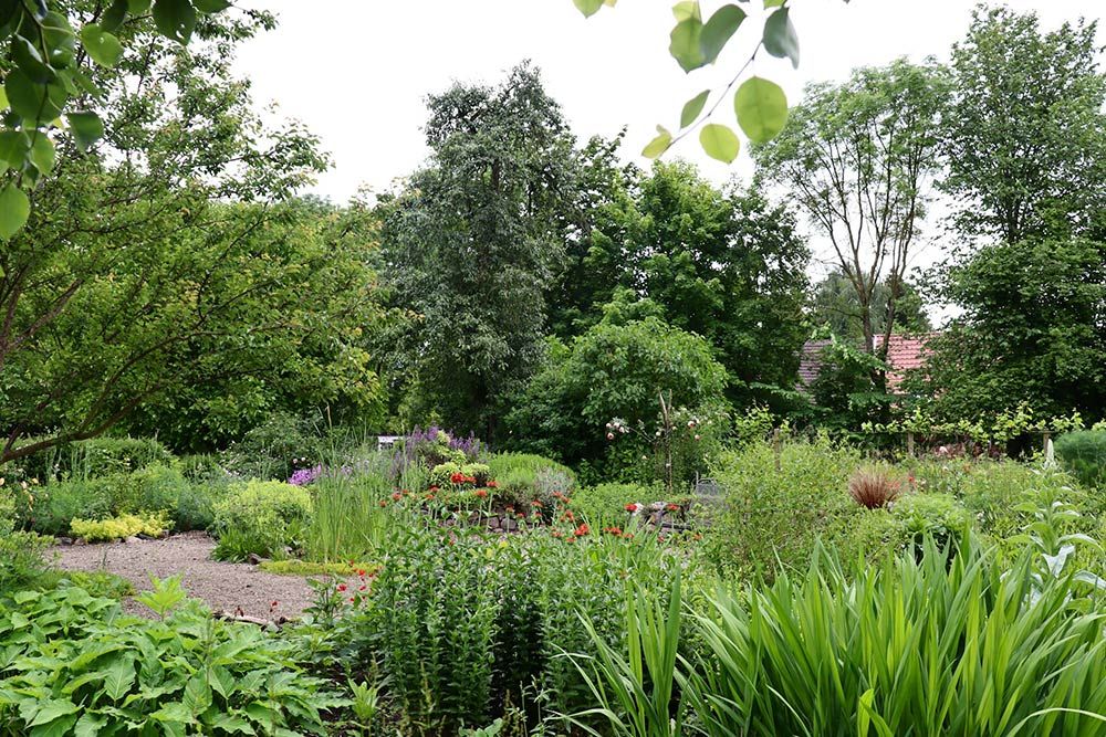 images/gartenbilder/saunstorf_klostergarten/kloster_saunstorf_4.jpg